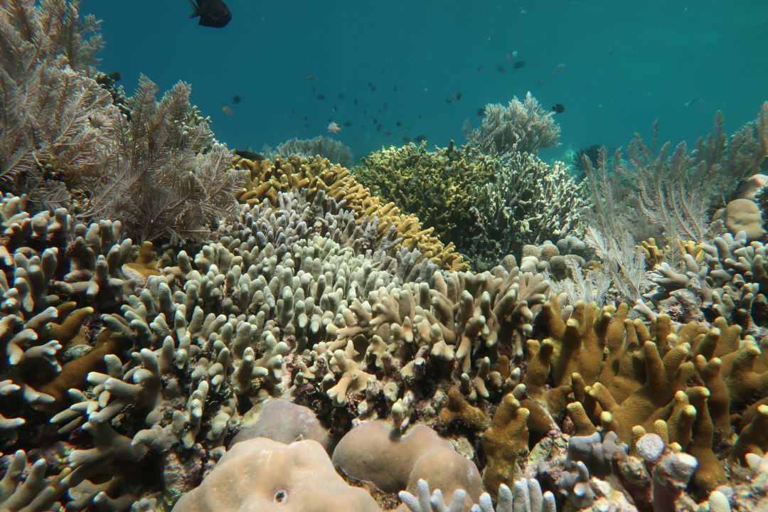 Sport & Freizeit Hotel Siladen Resort & Spa