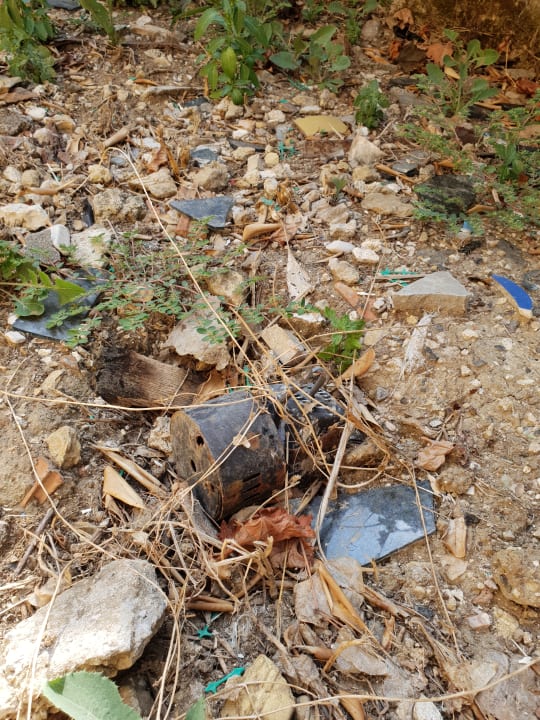 Gartenanlage Corfu Story