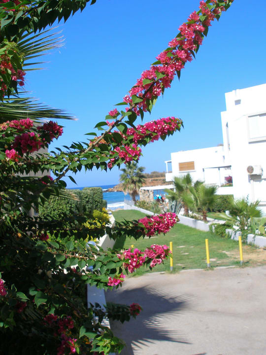 Plaza Sirios Village Hotel & Bungalows
