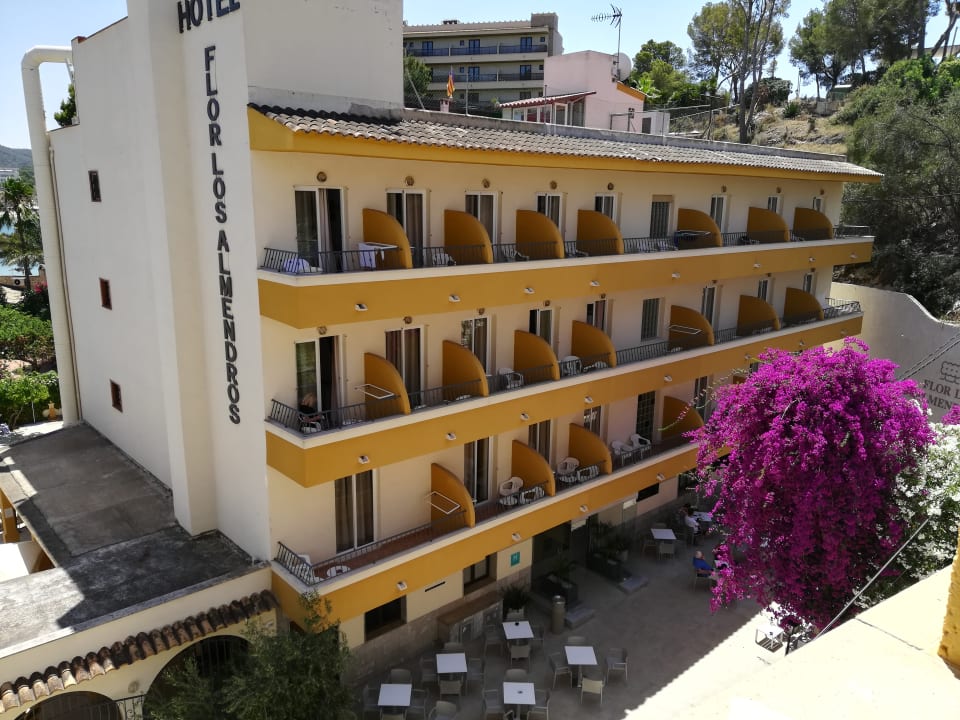 Außenansicht FLOR los Almendros Apartamentos