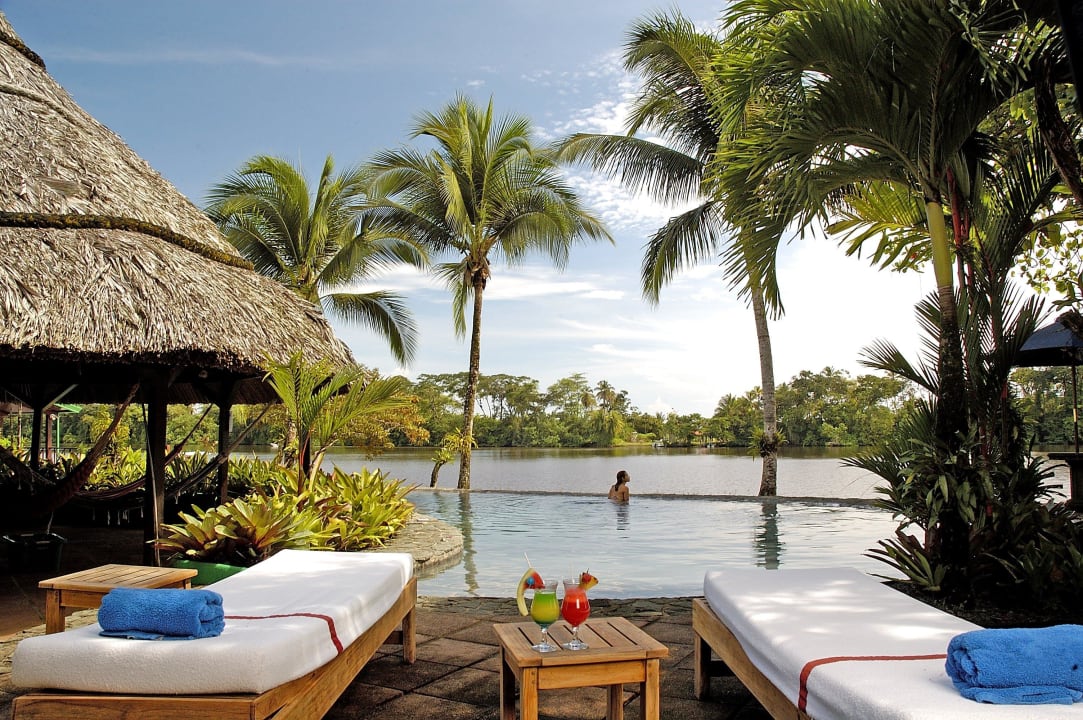 Pool and Palms Tortuga Lodge & Gardens
