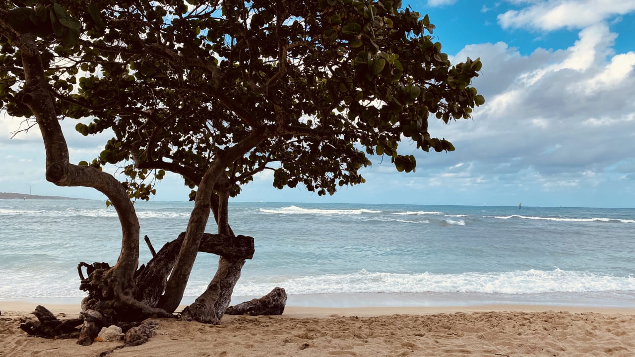 Strand Playabachata Hotel