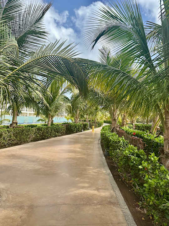 Gartenanlage Hotel Riu Palace Santa Maria