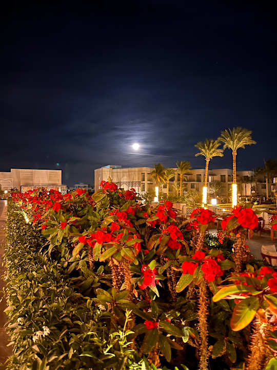 Gartenanlage Steigenberger Resort Ras Soma