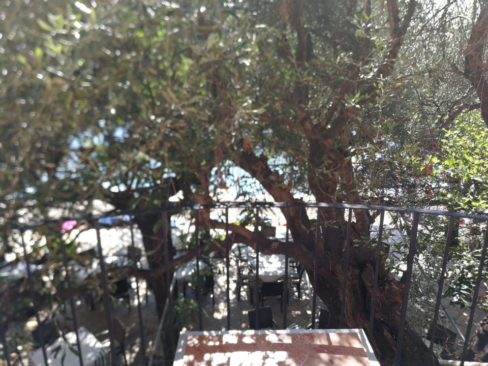 Ausblick Hotel Dassia Beach