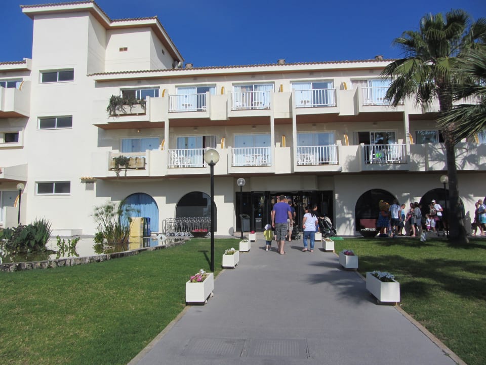 Rezeption blau punta reina