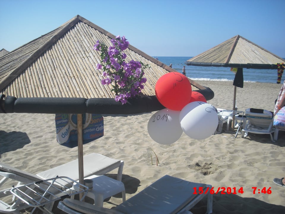 So wird Geburstag gefeiert Hotel Defne Garden