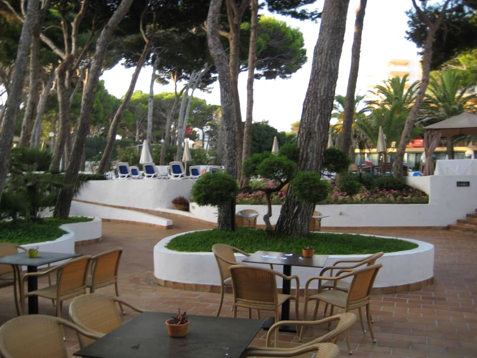 Aussenanlage Hotel & Spa S'Entrador Playa