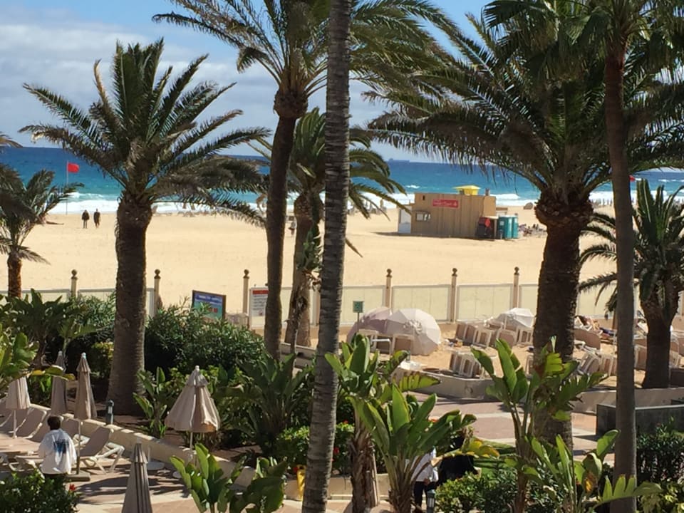 Pool Hotel Riu Oliva Beach Resort