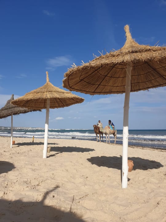 Strand Hotel Nesrine