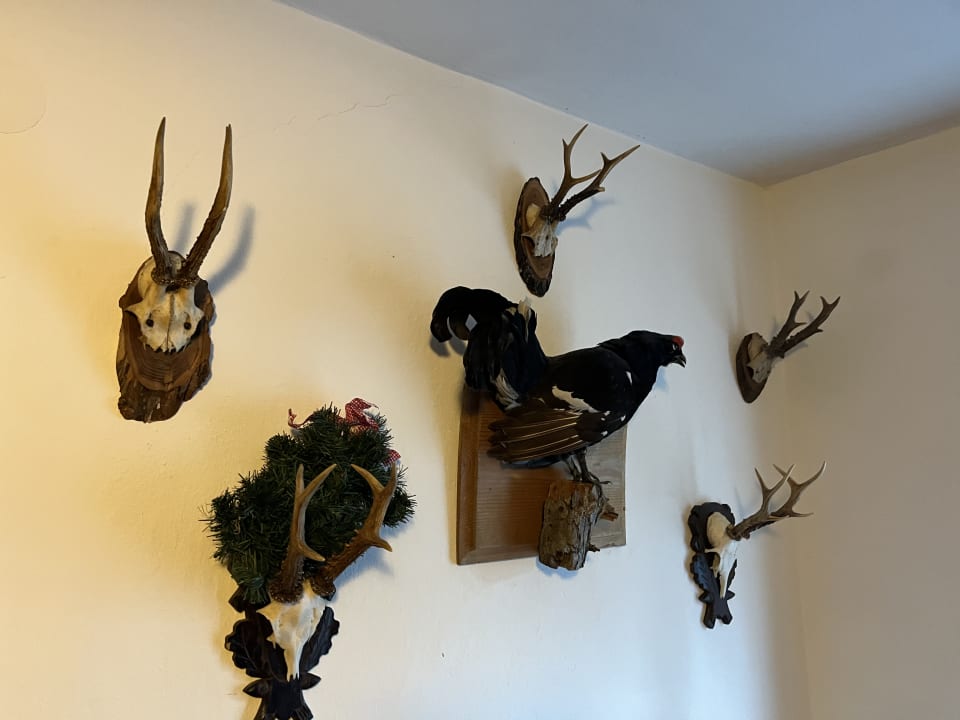 Lobby Hotel Butzn Wirt