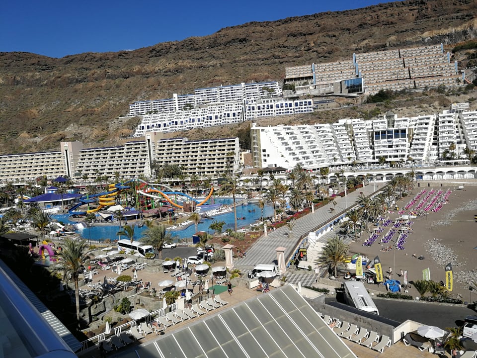 Zimmer Princess Taurito