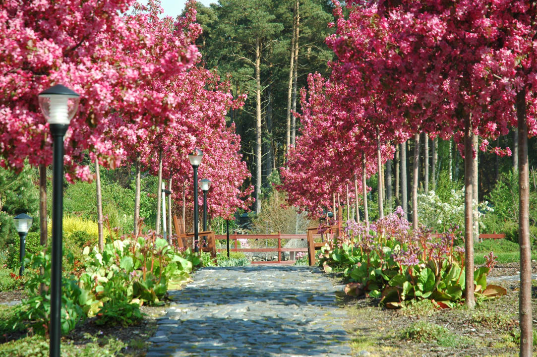 Garten Hotel Sandra Spa