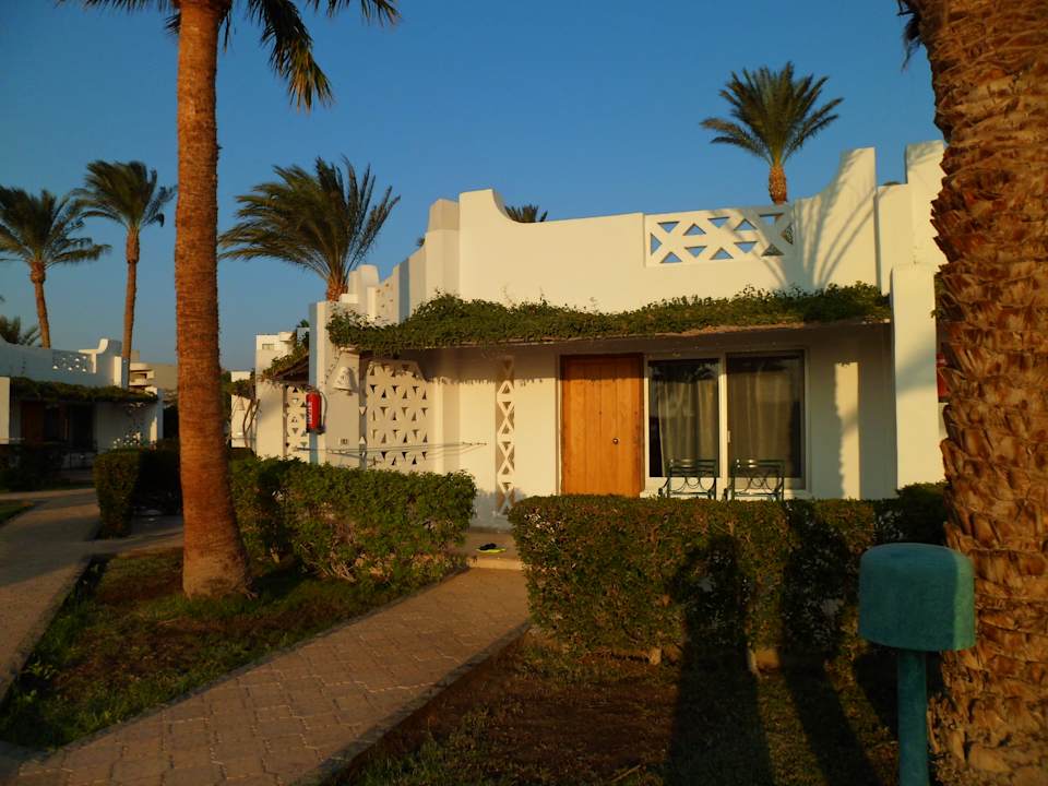 Gartenanlage Shams Safaga Resort