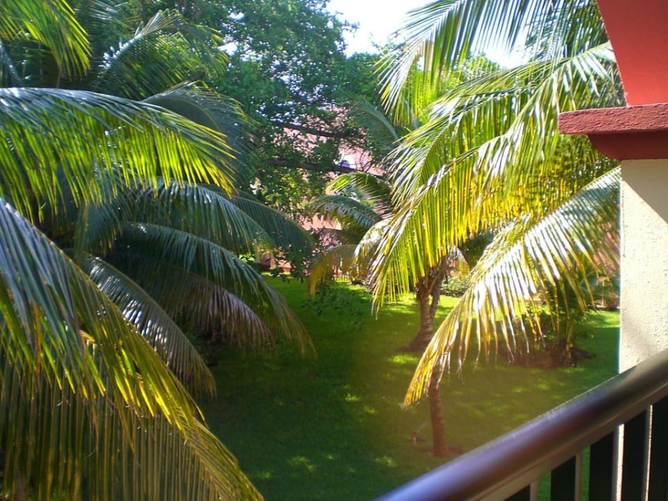 Gartenblick Hotel Riu Tequila