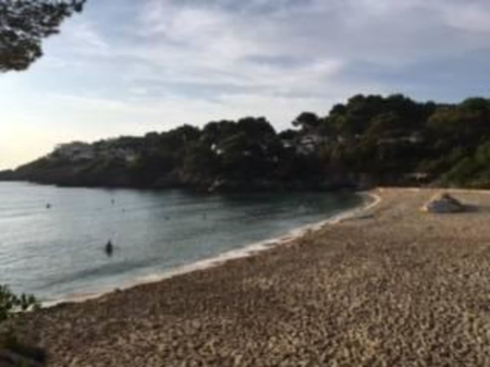 Strandbucht Iberostar Waves Pinos Park