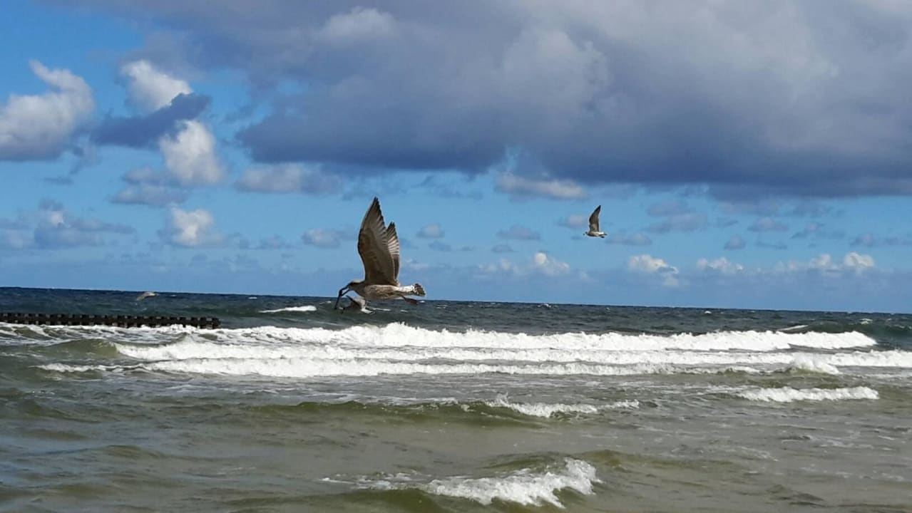 Das Meer Hotel Cristal SPA