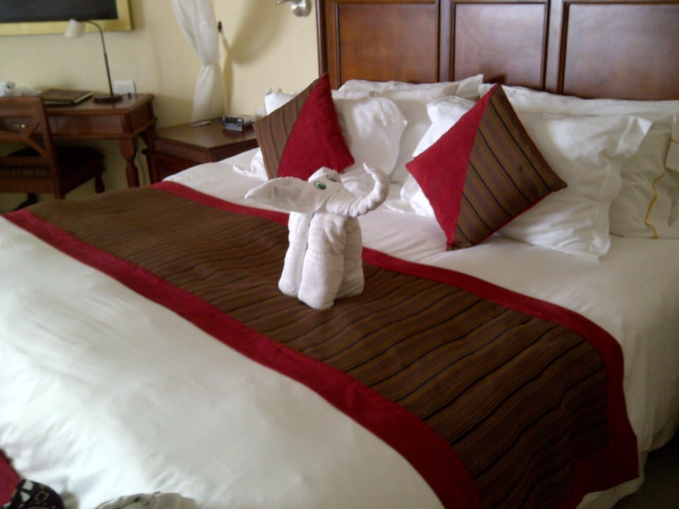 Unser Bett an einem Tag Hyatt Vivid Playa del Carmen - Adults only