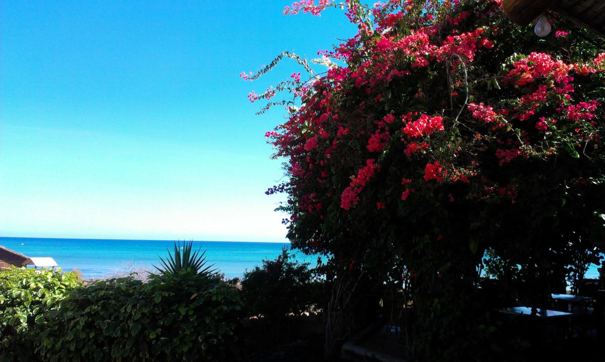 Und nochmal Beachbar SBH Hotel Taro Beach