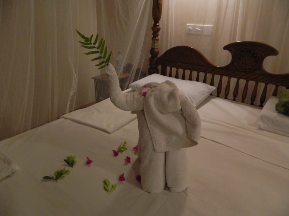 Kleine Aufmerksamkeit vom Zimmerservice Hotel Bentota Village