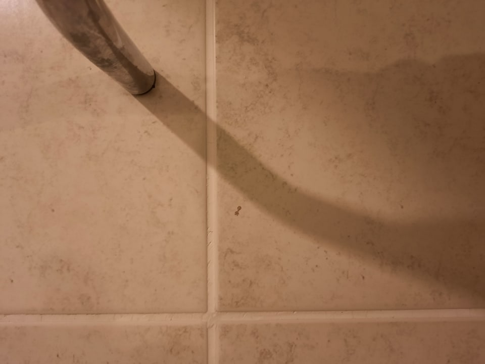 Zimmer Dg Hotels Rose Resort