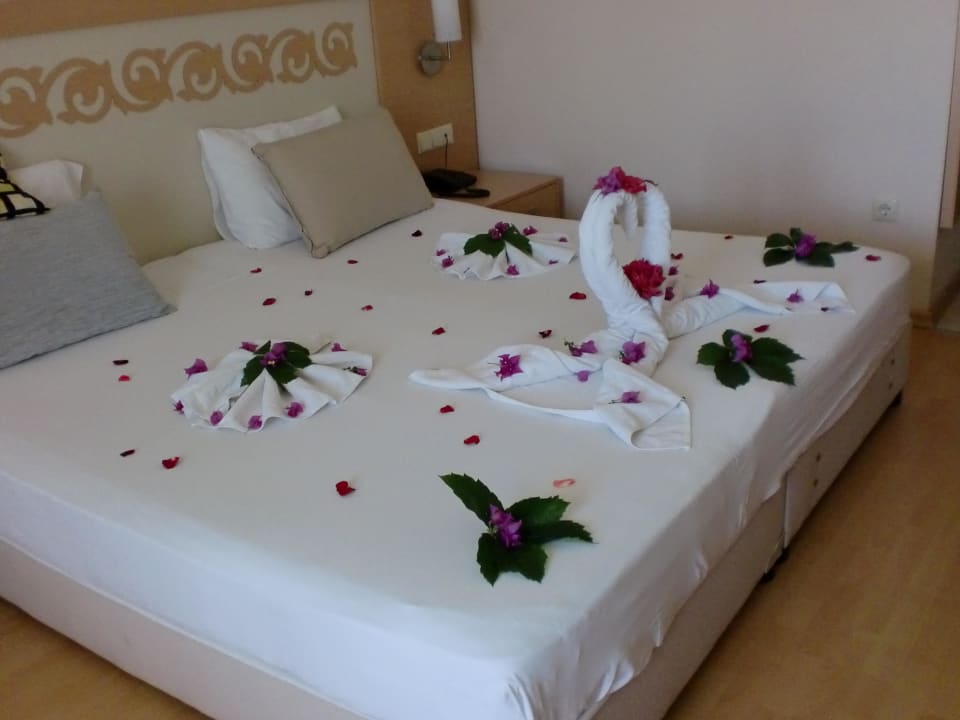 Schwäne Hotel Titan Select