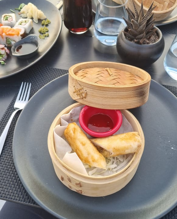 Gastro Paloma Oceana