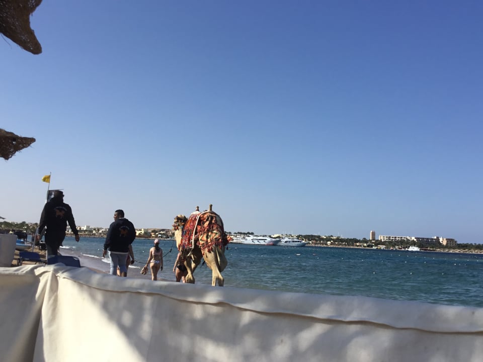 Strand Iberotel Makadi Beach