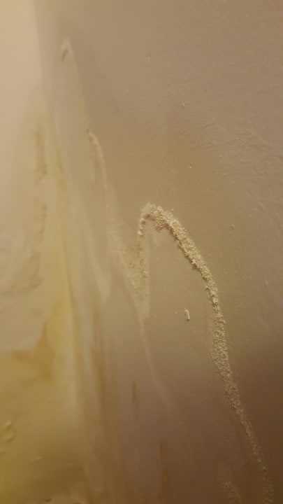 Flur Maya World Park Hotel