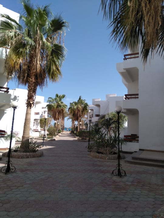 Gartenanlage Marlin Inn Azur Resort