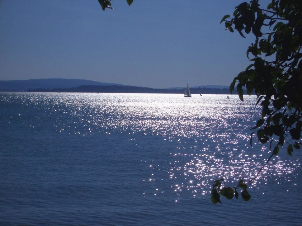 Aussicht/Ausblick Hotel Landhaus Messmer