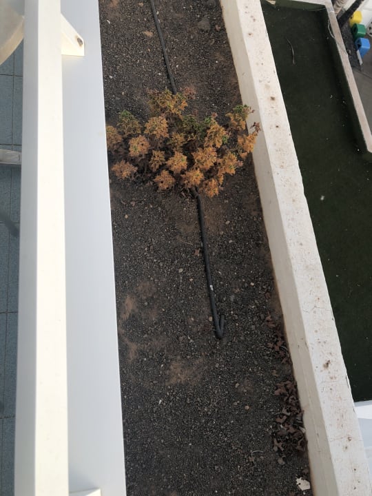 Außenansicht Hipotels La Geria