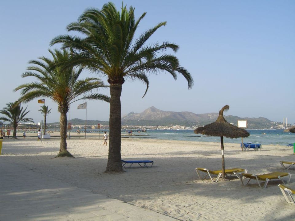 Strand ,ca.250m vom Hotel entfernt BQ Delfin Azul Hotel