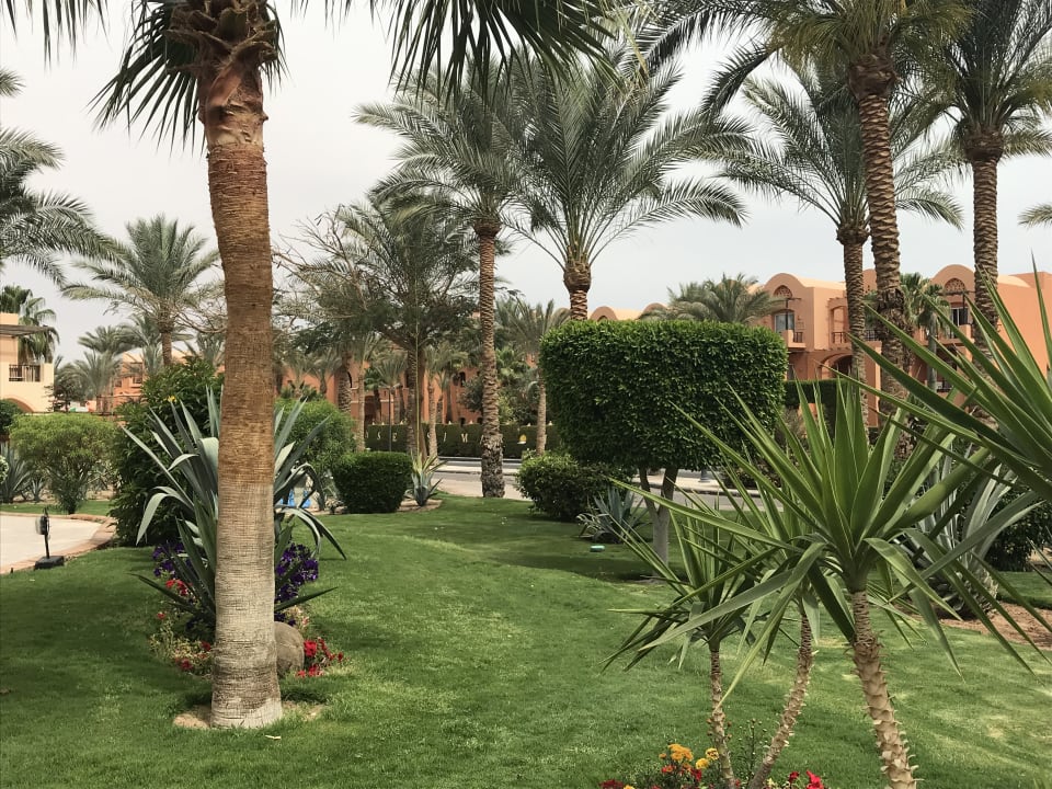 Gartenanlage Jaz Makadi Oasis Resort