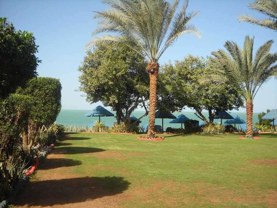 Gartenanlage Bin Majid BM Beach Resort