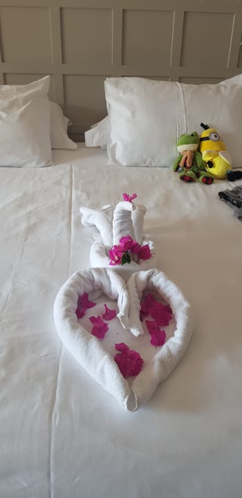 Zimmer Acanthus Cennet Barut Collection