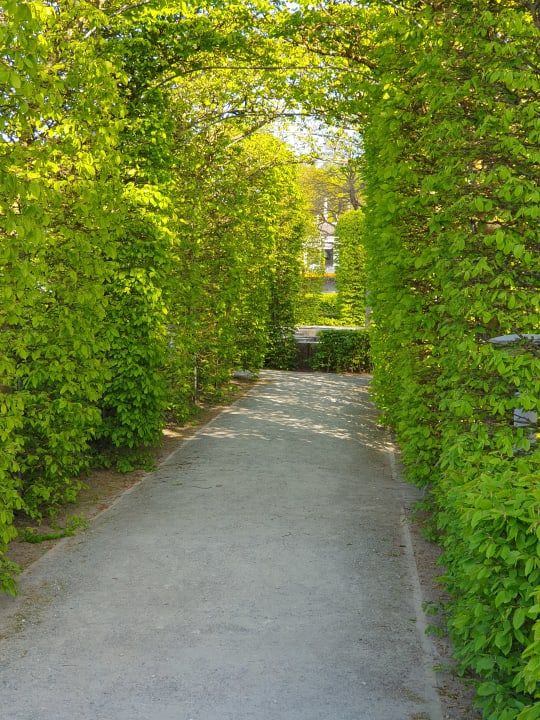 Gartenanlage Hotel Stranddistel Rügen