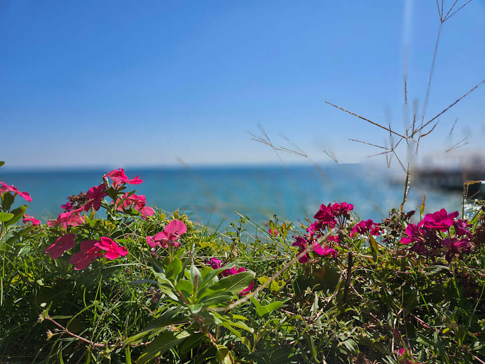 Gartenanlage Voyage Sorgun