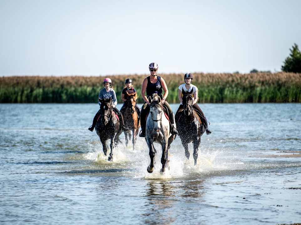 Sport & Freizeit Kadyny Folwark Hotel & Spa