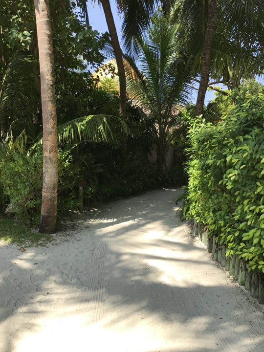 Gartenanlage Veligandu Maldives Resort Island