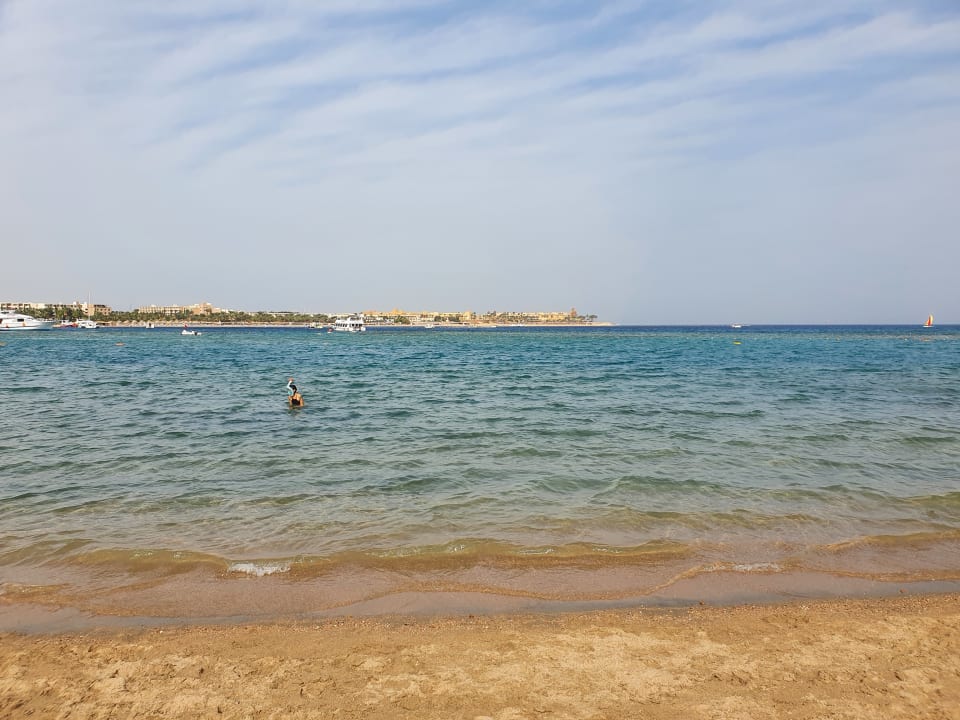 Strand Jaz Makadi Oasis Resort