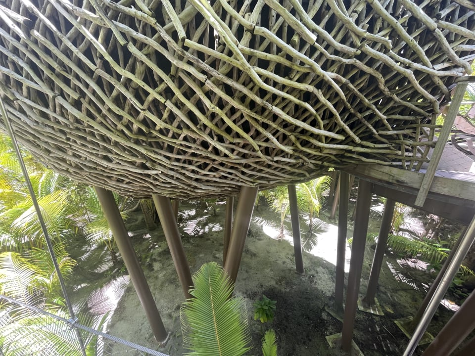 Gartenanlage Hotel The Brando