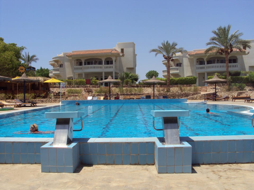 Бассейн Naama Bay Hotel & Resort