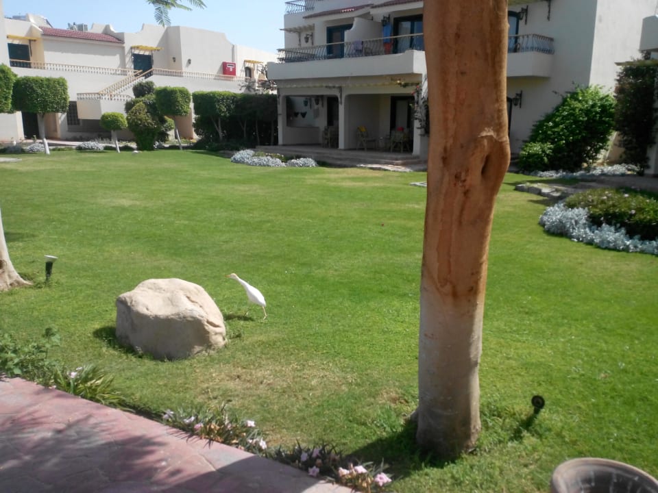 Bird Lotus Bay Beach Resort