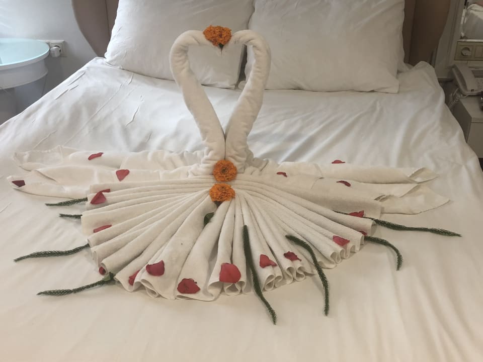 Zimmer Hotel Delphin Diva