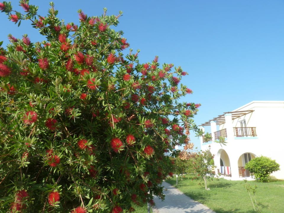 Corali Village  Corali Hotel