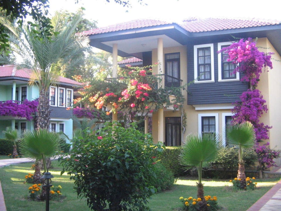 Blütenpracht an den Bungalows Club Dizalya