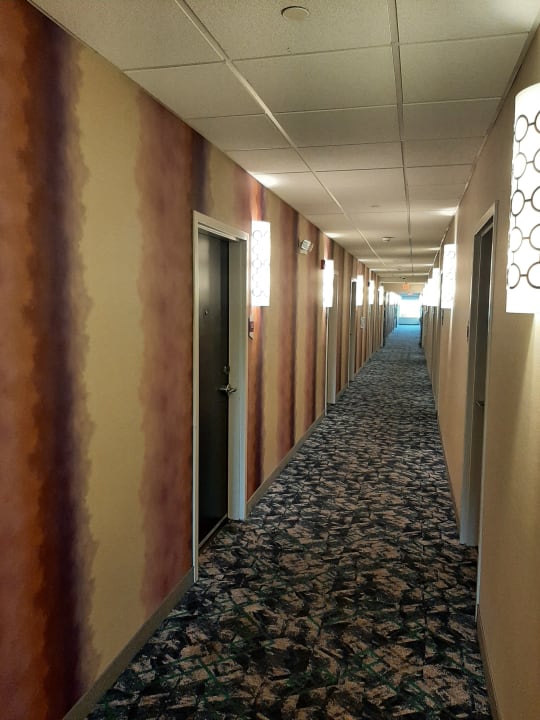 Zimmer Home2 Suites By Hilton Memphis Wolfchase Galleria