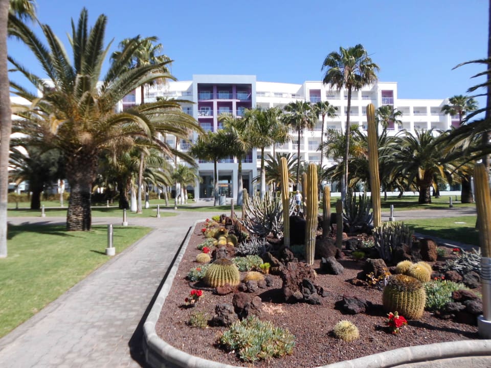 Gartenanlage Hotel Riu Gran Canaria