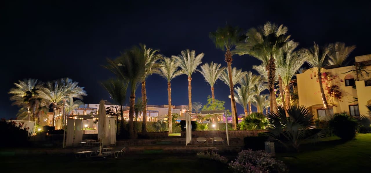 Gartenanlage Steigenberger Coraya Beach - Adults only